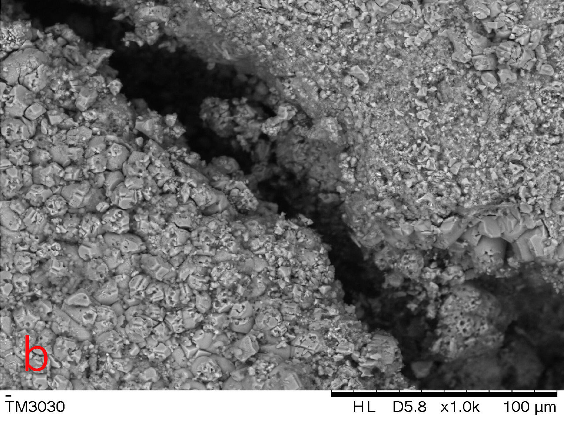 国产乱老熟妇吃嫩草